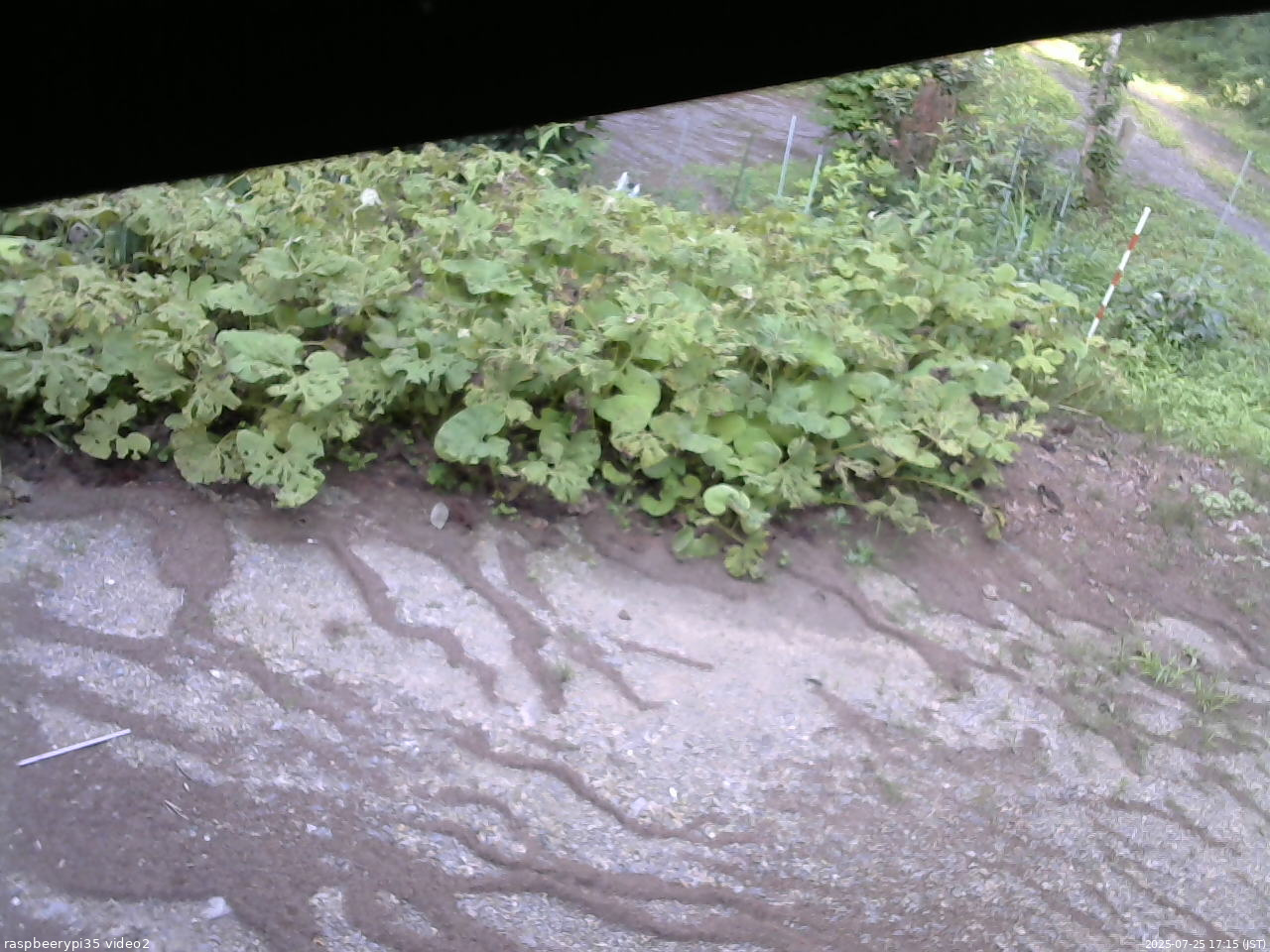長野県菅平高原 ゆたか山荘 駐車場 2025/07/25 17:15