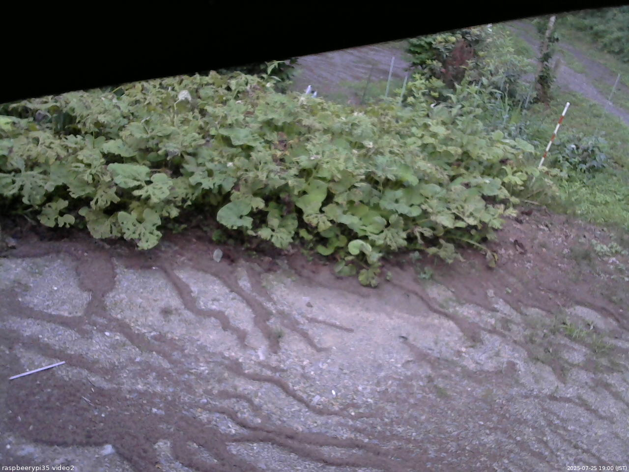 長野県菅平高原 ゆたか山荘 駐車場 2025/07/25 19:00