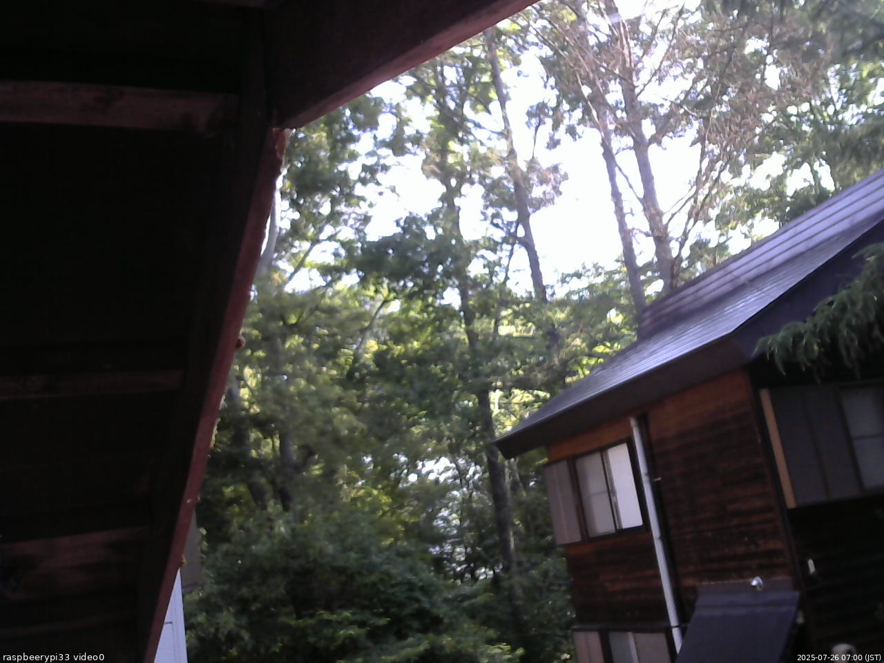 長野県菅平高原 ゆたか山荘 北側 2025/07/26 07:00