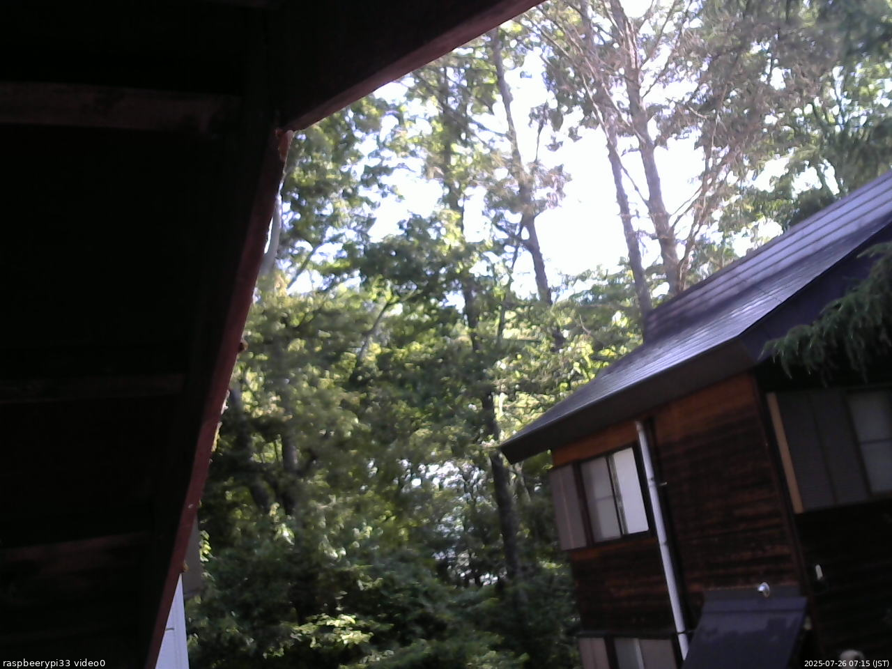 長野県菅平高原 ゆたか山荘 北側 2025/07/26 07:15