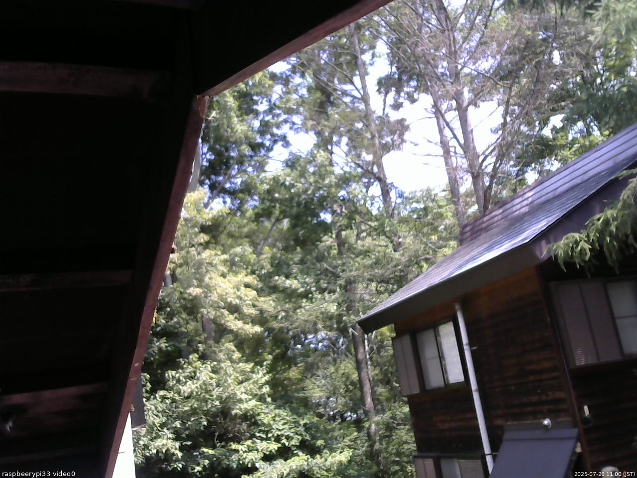 長野県菅平高原 ゆたか山荘 北側 2025/07/26 11:00