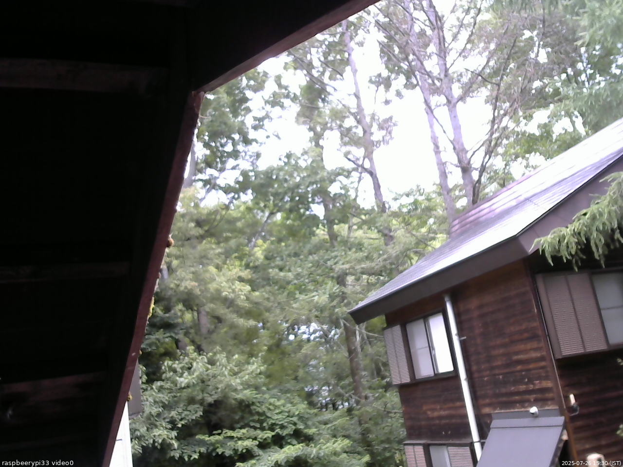 長野県菅平高原 ゆたか山荘 北側 2025/07/26 15:30