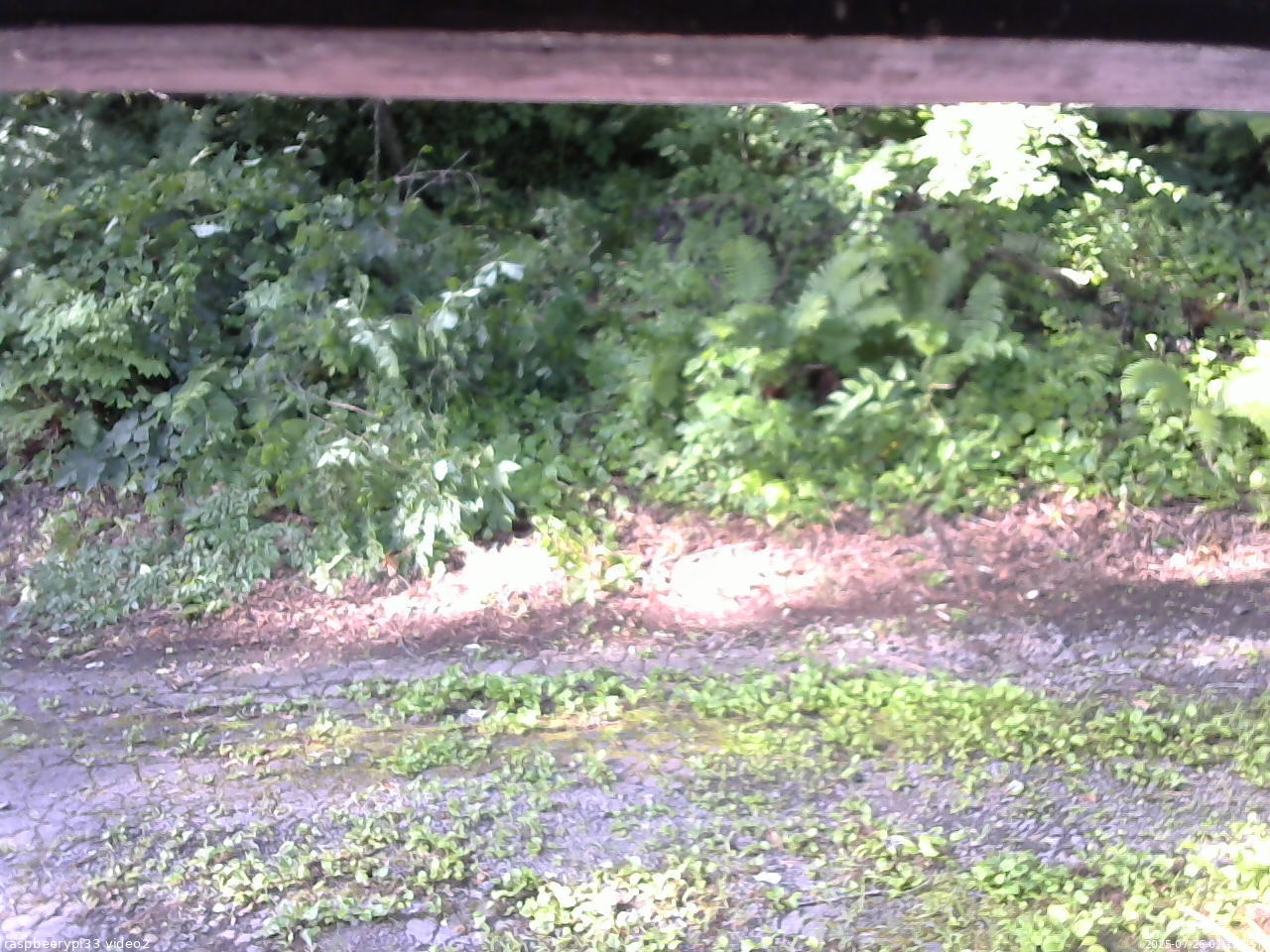 長野県菅平高原 ゆたか山荘 南側 2025/07/26 07:15