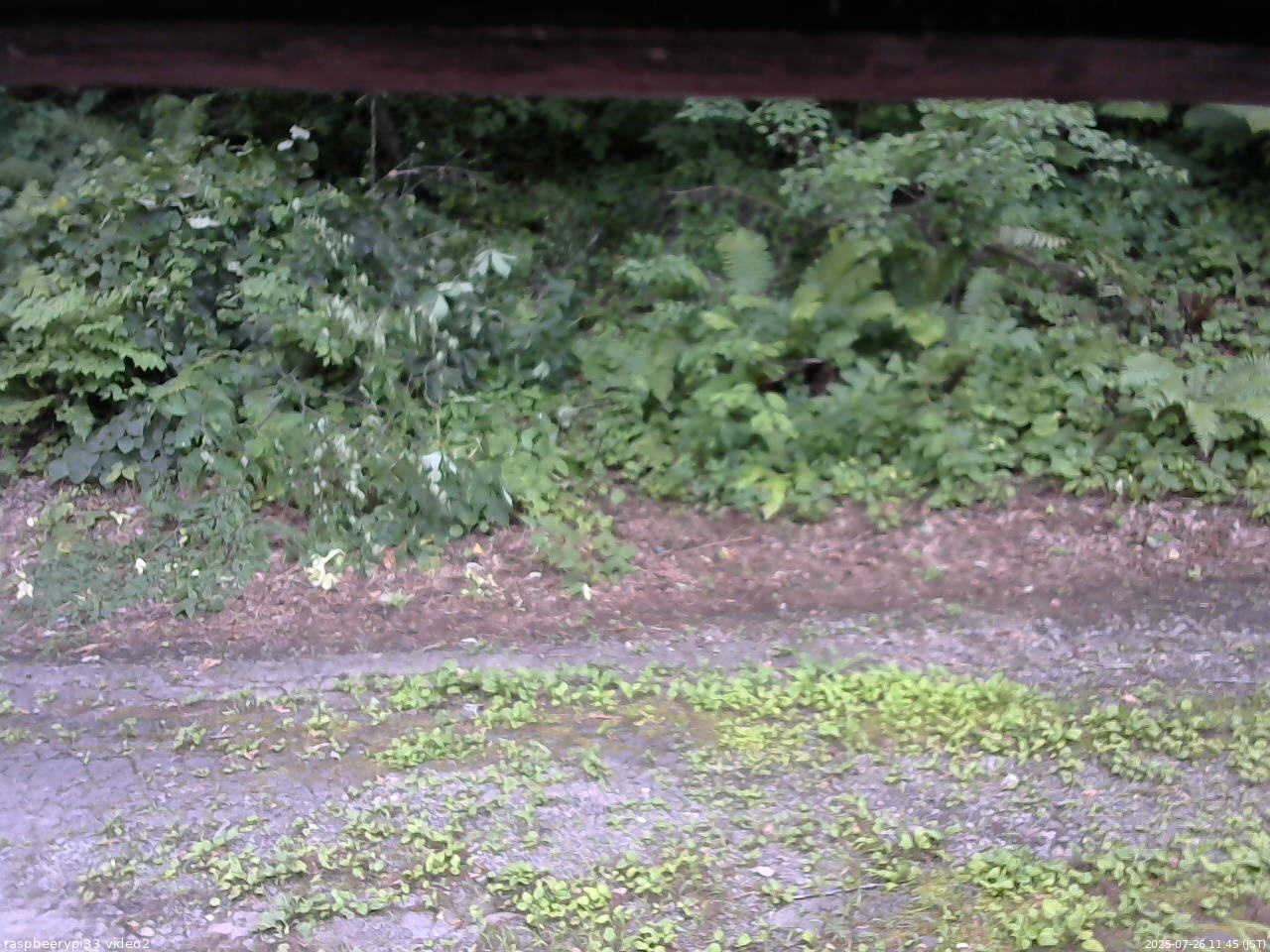 長野県菅平高原 ゆたか山荘 南側 2025/07/26 11:45