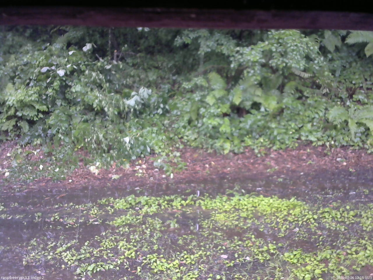 長野県菅平高原 ゆたか山荘 南側 2025/07/26 12:15