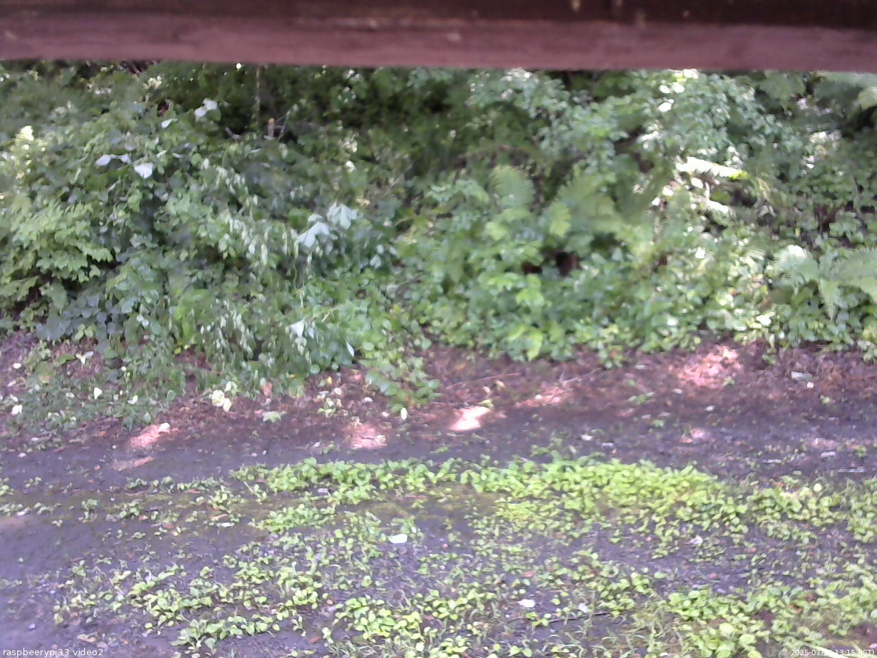 長野県菅平高原 ゆたか山荘 南側 2025/07/26 13:15