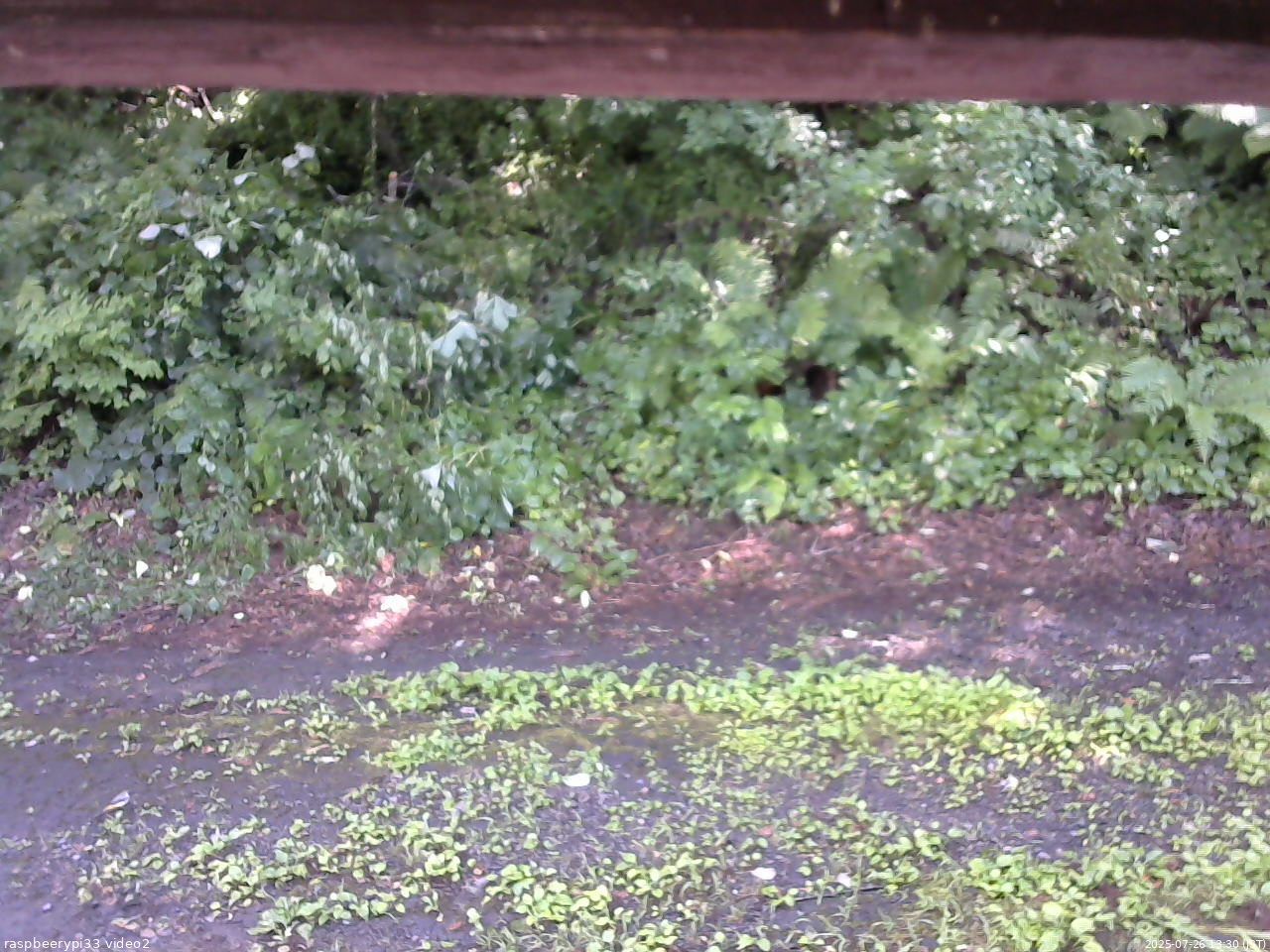 長野県菅平高原 ゆたか山荘 南側 2025/07/26 13:30