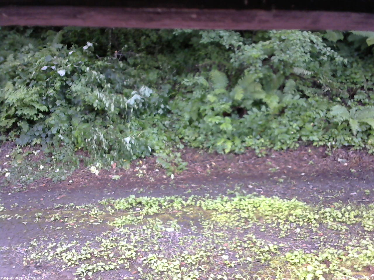 長野県菅平高原 ゆたか山荘 南側 2025/07/26 14:00