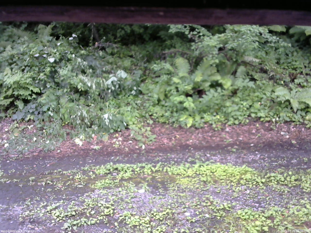 長野県菅平高原 ゆたか山荘 南側 2025/07/26 15:30