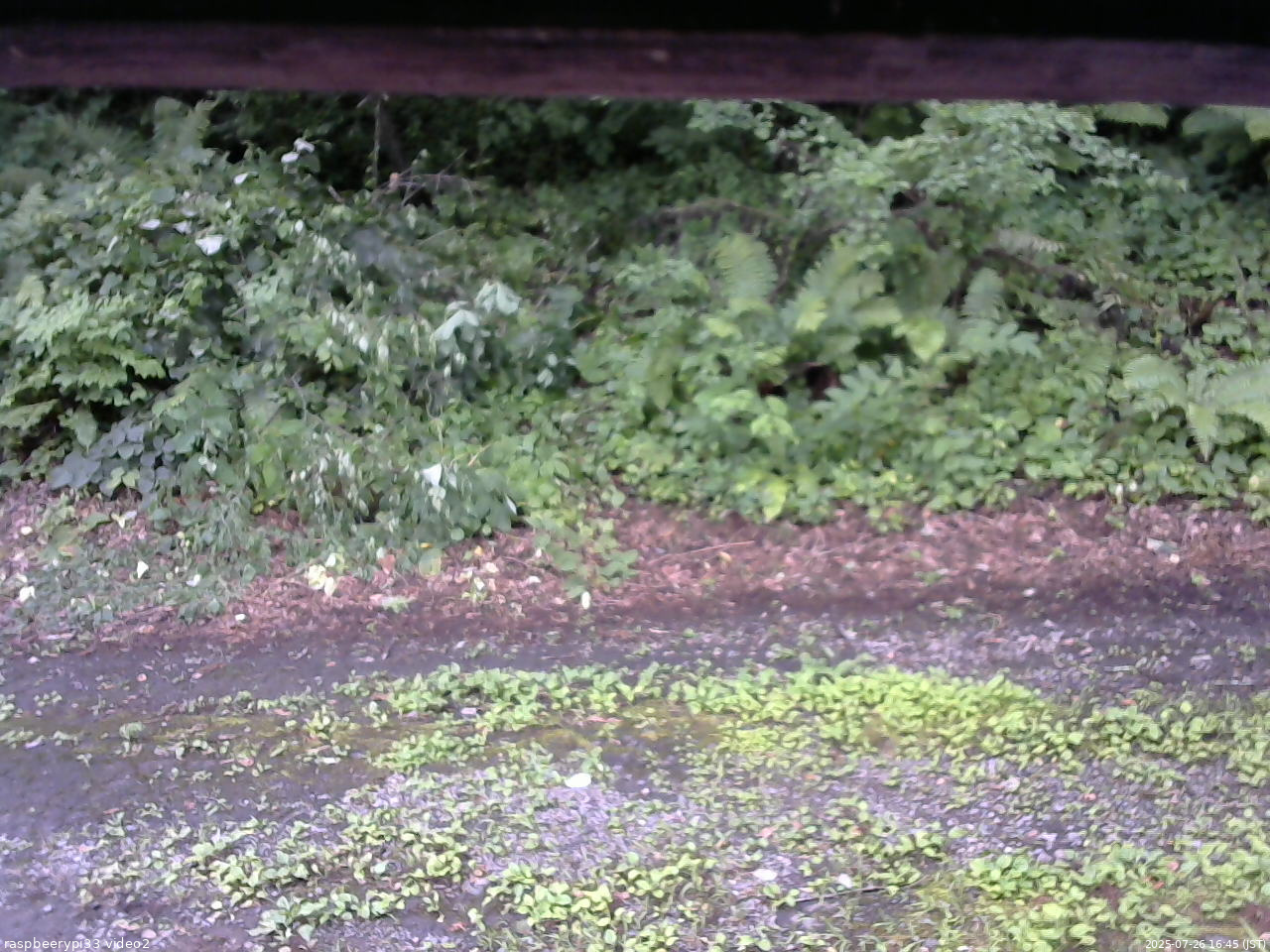 長野県菅平高原 ゆたか山荘 南側 2025/07/26 16:45