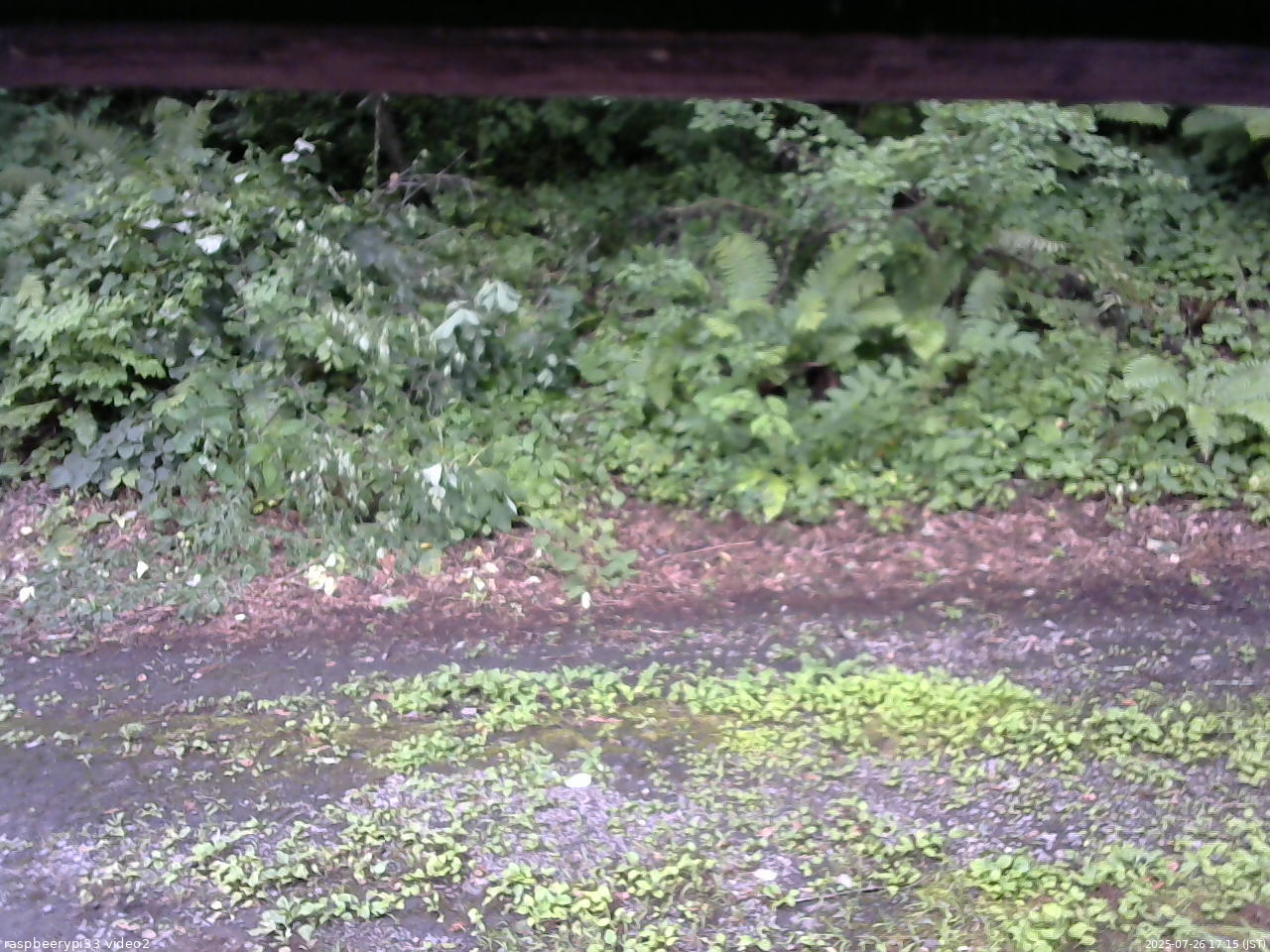 長野県菅平高原 ゆたか山荘 南側 2025/07/26 17:15