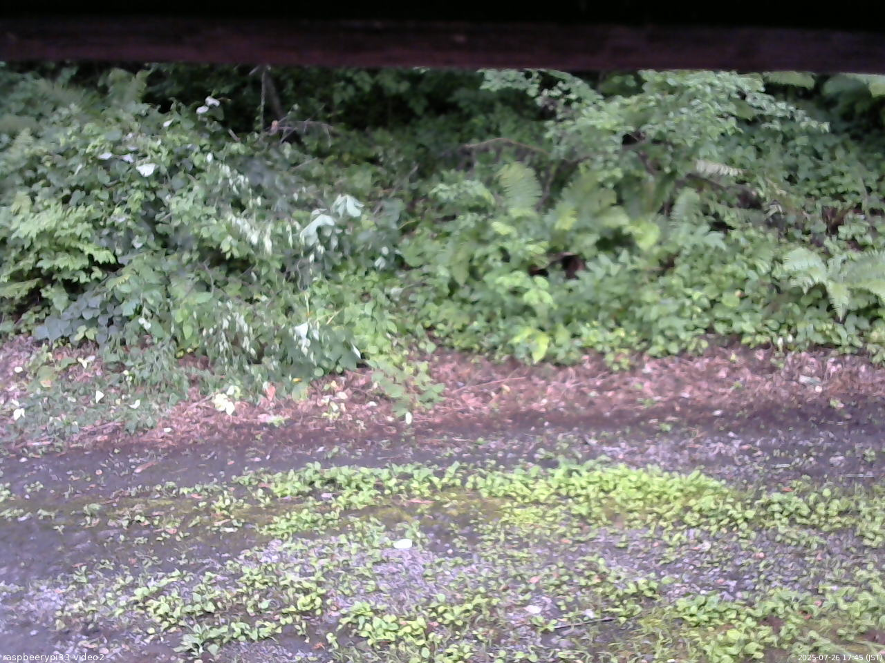 長野県菅平高原 ゆたか山荘 南側 2025/07/26 17:45