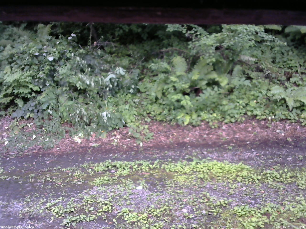 長野県菅平高原 ゆたか山荘 南側 2025/07/26 18:15