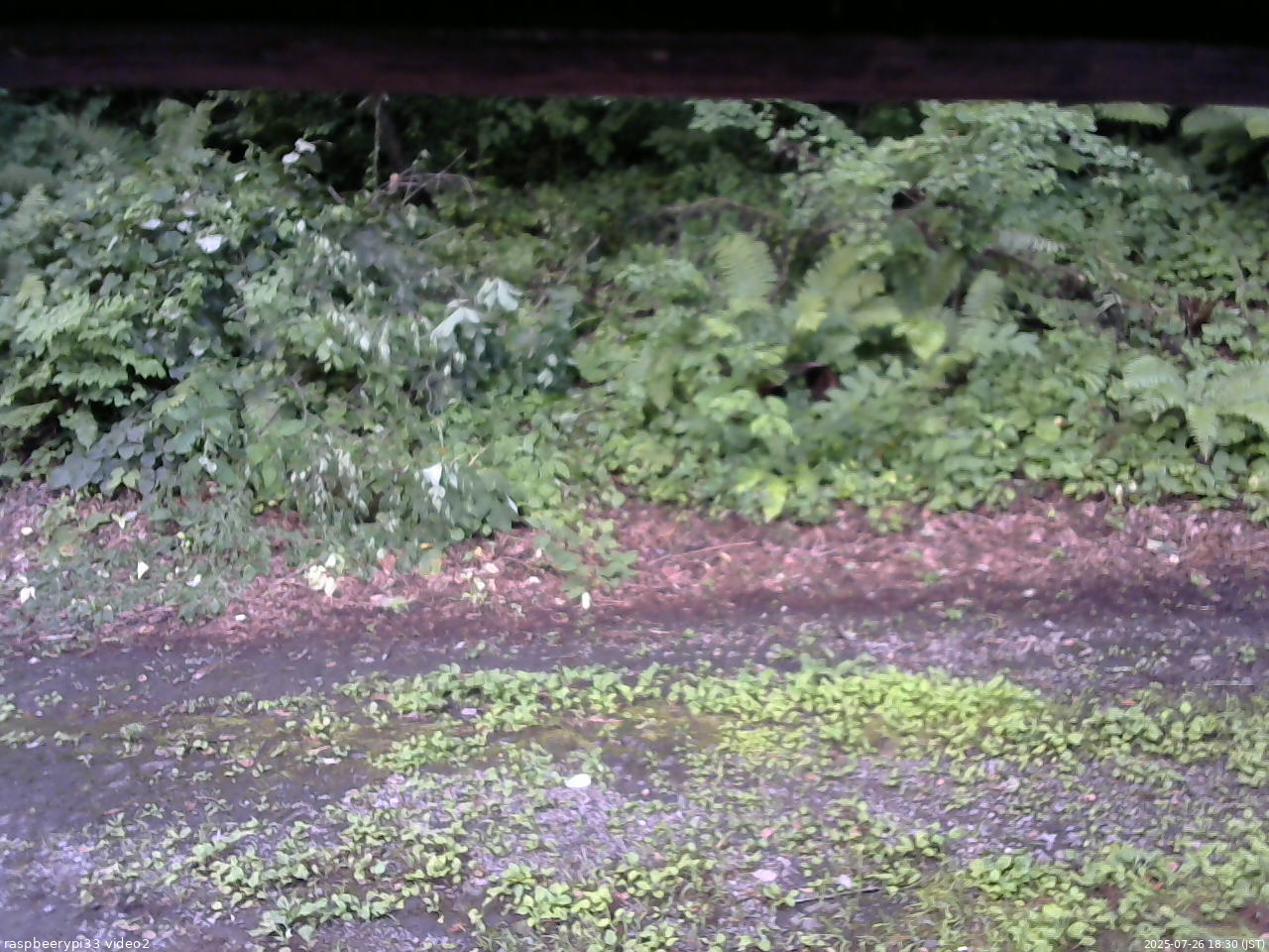 長野県菅平高原 ゆたか山荘 南側 2025/07/26 18:30