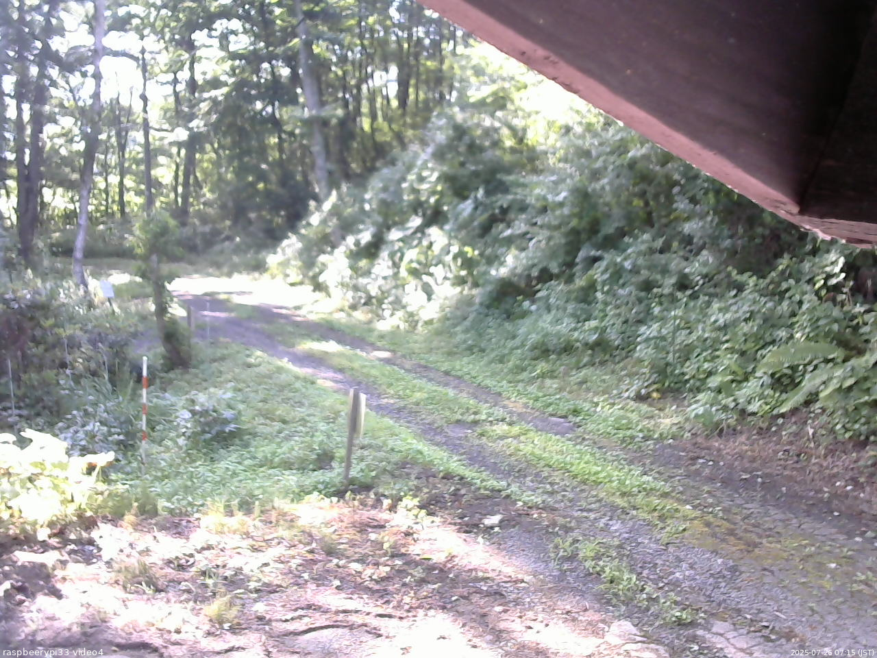 長野県菅平高原 ゆたか山荘 東側(坂下) 2025/07/26 07:15
