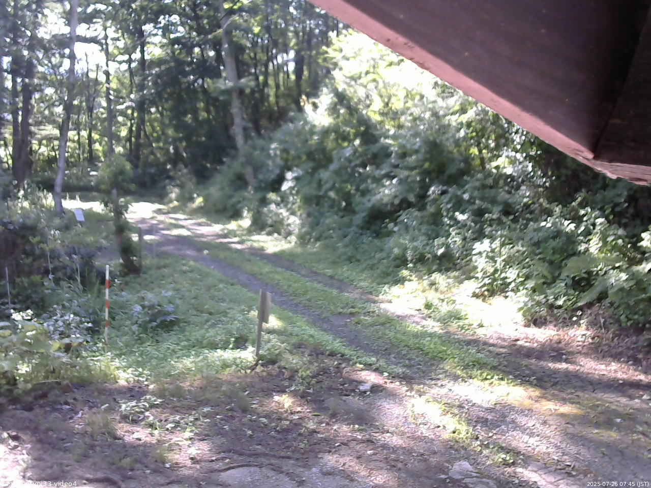 長野県菅平高原 ゆたか山荘 東側(坂下) 2025/07/26 07:45