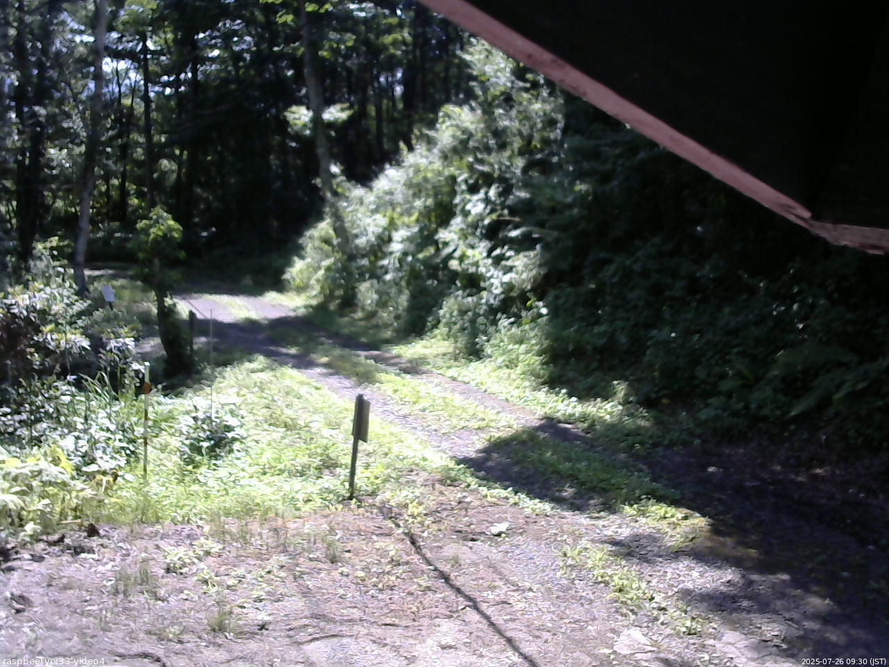 長野県菅平高原 ゆたか山荘 東側(坂下) 2025/07/26 09:30