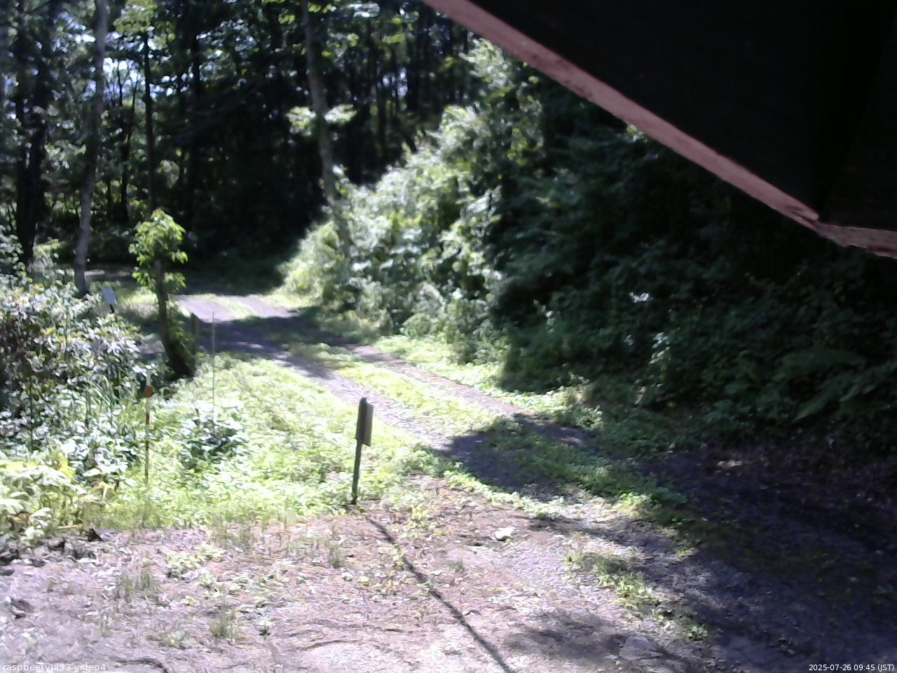 長野県菅平高原 ゆたか山荘 東側(坂下) 2025/07/26 09:45