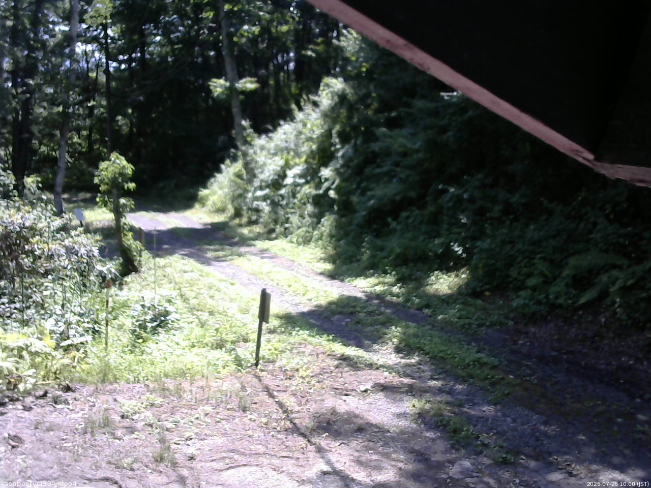 長野県菅平高原 ゆたか山荘 東側(坂下) 2025/07/26 10:00