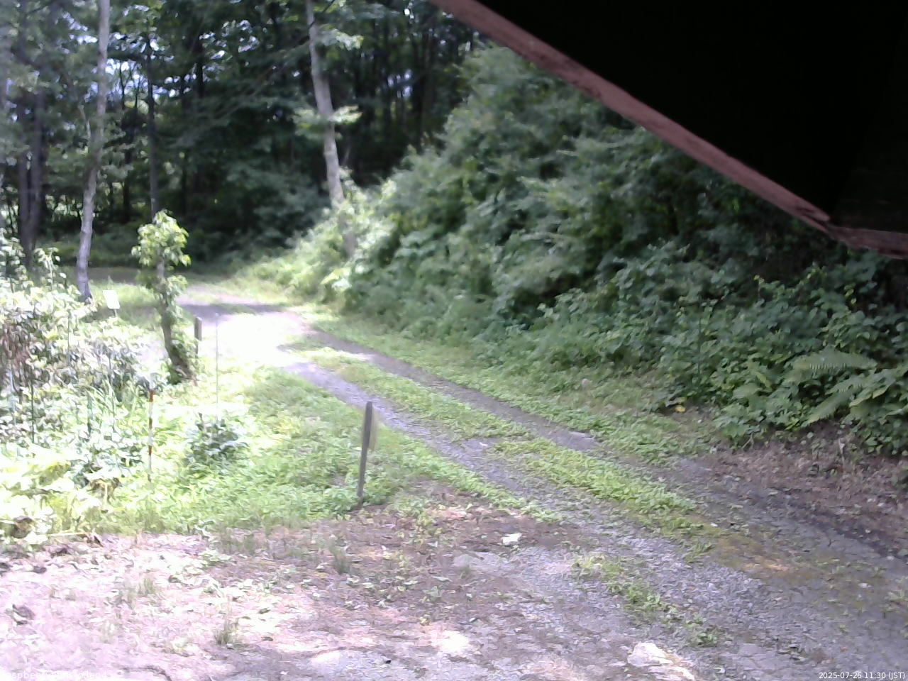 長野県菅平高原 ゆたか山荘 東側(坂下) 2025/07/26 11:30