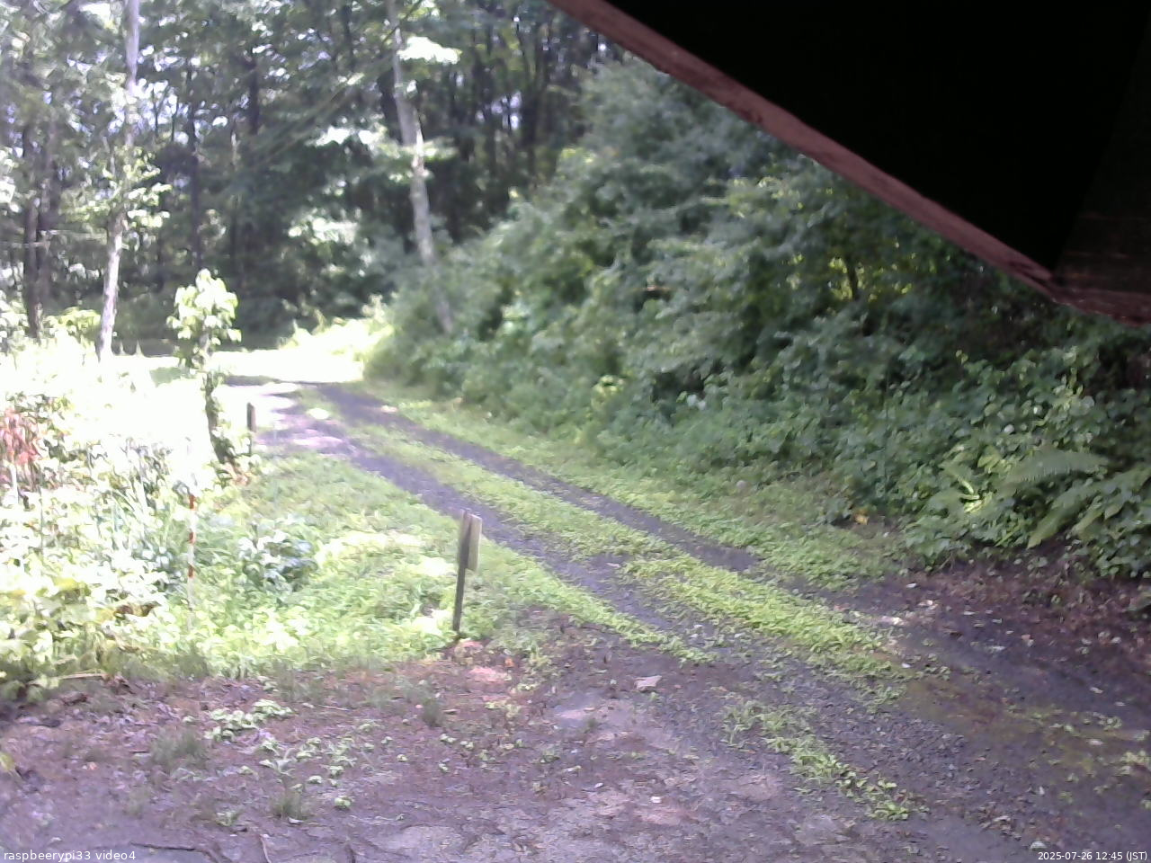 長野県菅平高原 ゆたか山荘 東側(坂下) 2025/07/26 12:45