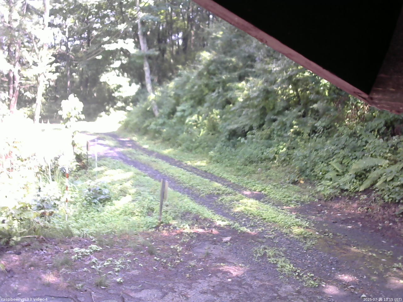 長野県菅平高原 ゆたか山荘 東側(坂下) 2025/07/26 13:15