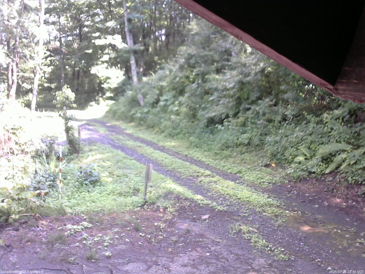 長野県菅平高原 ゆたか山荘 東側(坂下) 2025/07/26 13:30