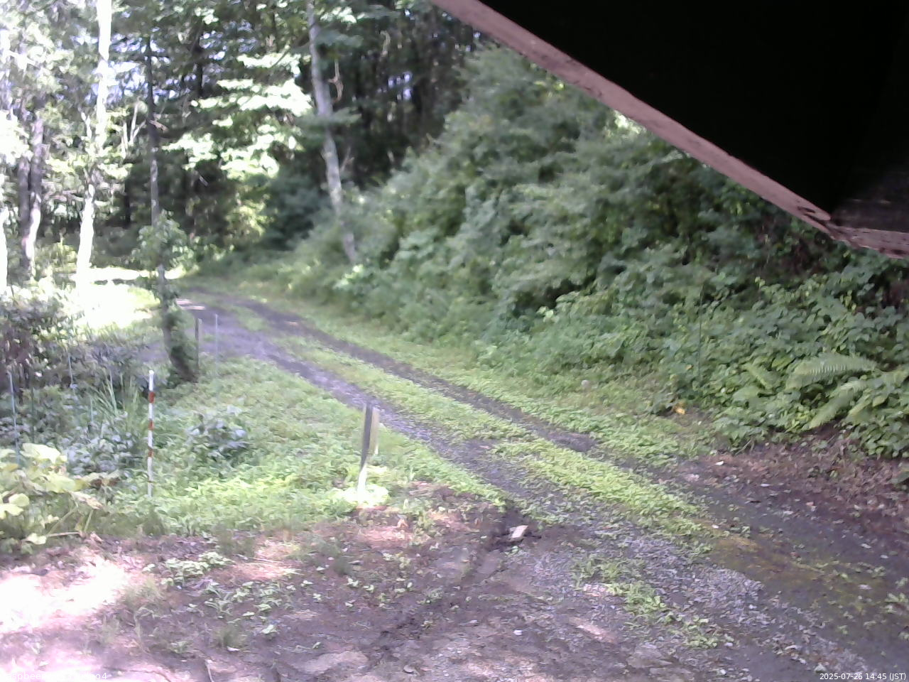 長野県菅平高原 ゆたか山荘 東側(坂下) 2025/07/26 14:45