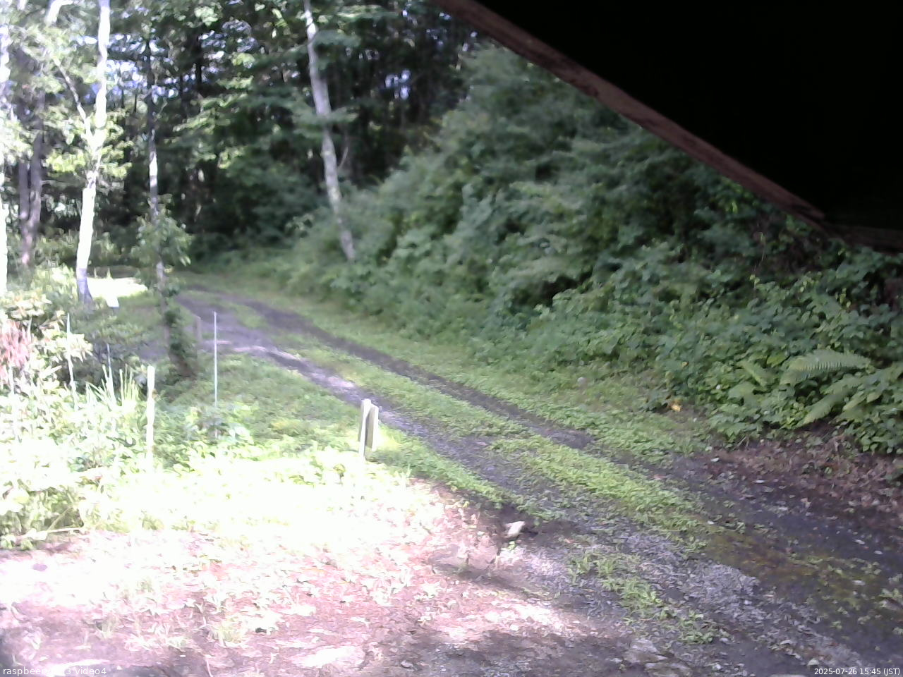 長野県菅平高原 ゆたか山荘 東側(坂下) 2025/07/26 15:45