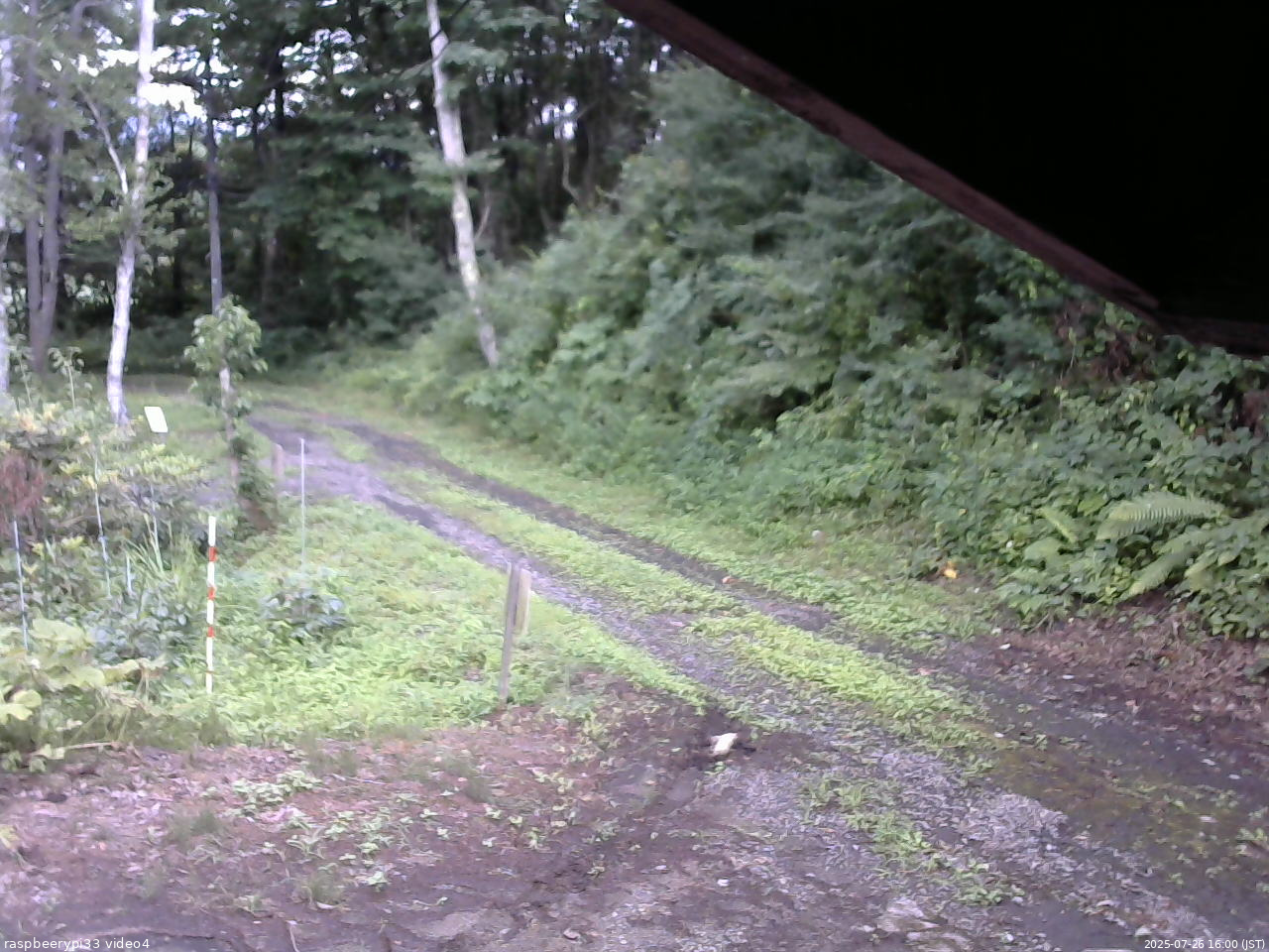 長野県菅平高原 ゆたか山荘 東側(坂下) 2025/07/26 16:00
