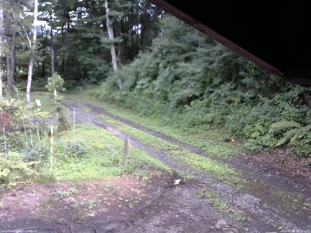 長野県菅平高原 ゆたか山荘 東側(坂下) 2025/07/26 16:15