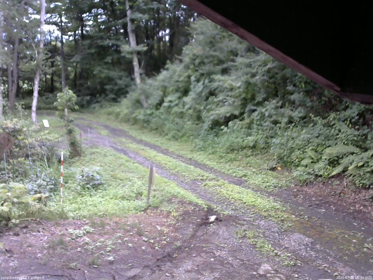 長野県菅平高原 ゆたか山荘 東側(坂下) 2025/07/26 16:30