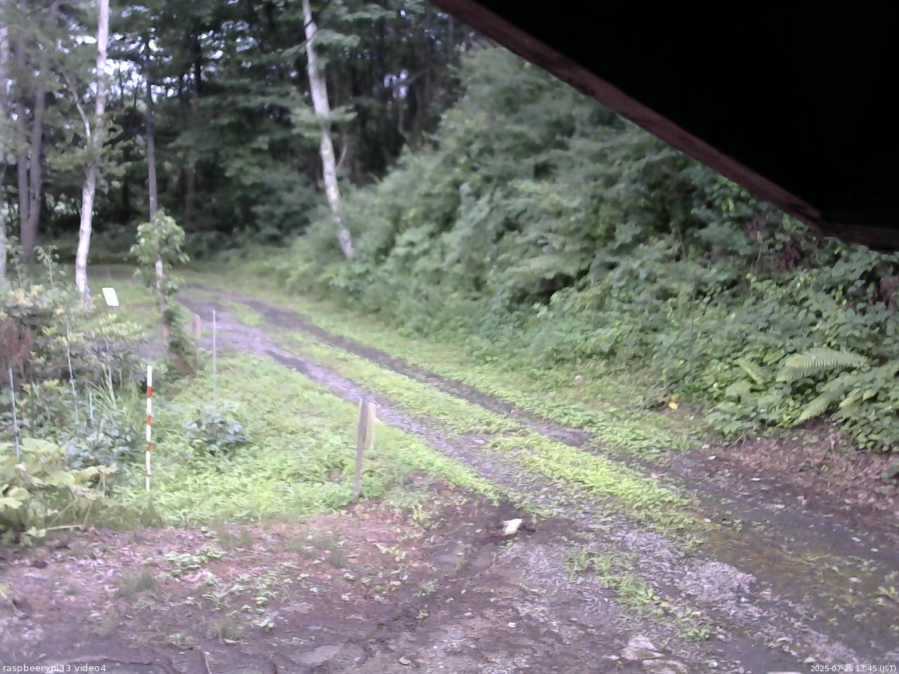 長野県菅平高原 ゆたか山荘 東側(坂下) 2025/07/26 17:45
