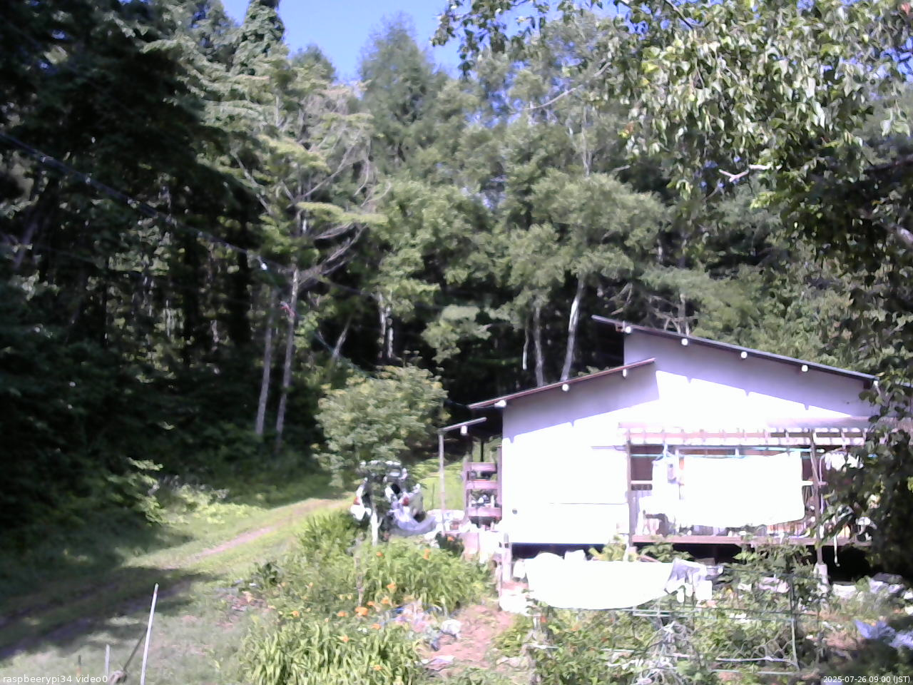 長野県菅平高原 ゆたか山荘 西側(坂上) 2025/07/26 09:00