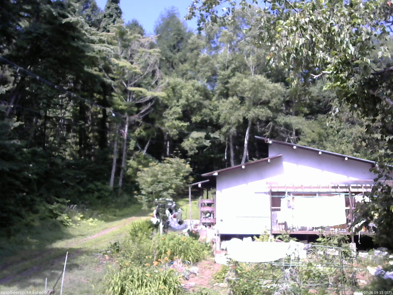 長野県菅平高原 ゆたか山荘 西側(坂上) 2025/07/26 09:15