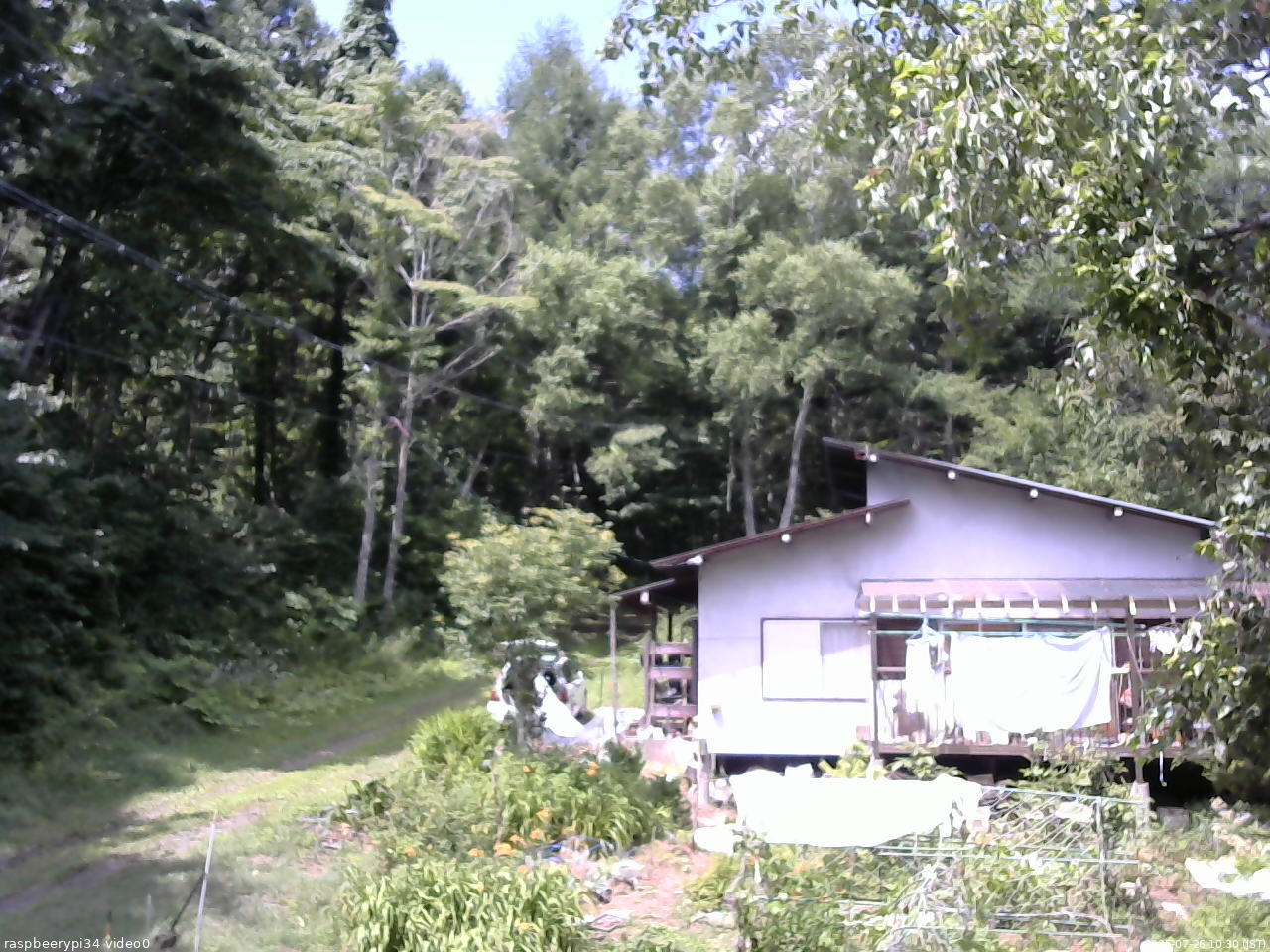 長野県菅平高原 ゆたか山荘 西側(坂上) 2025/07/26 10:30