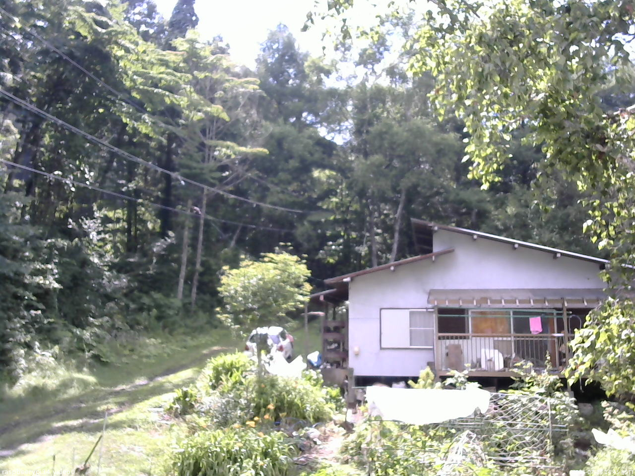 長野県菅平高原 ゆたか山荘 西側(坂上) 2025/07/26 14:45