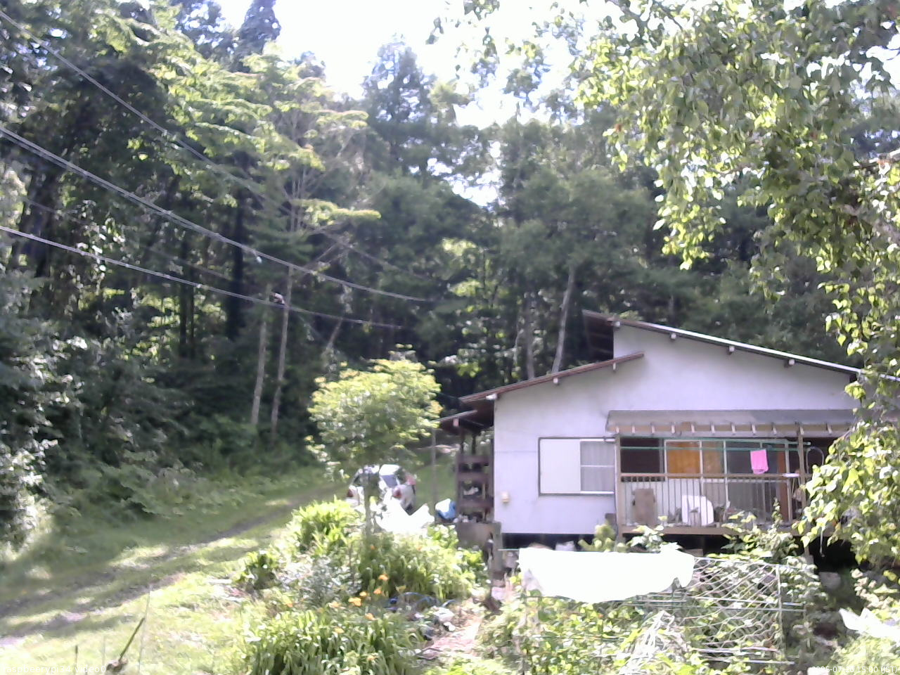 長野県菅平高原 ゆたか山荘 西側(坂上) 2025/07/26 15:00