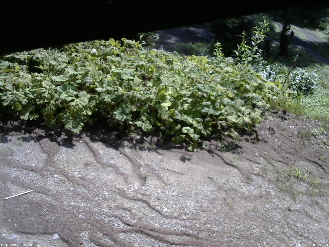 長野県菅平高原 ゆたか山荘 駐車場 2025/07/26 09:15