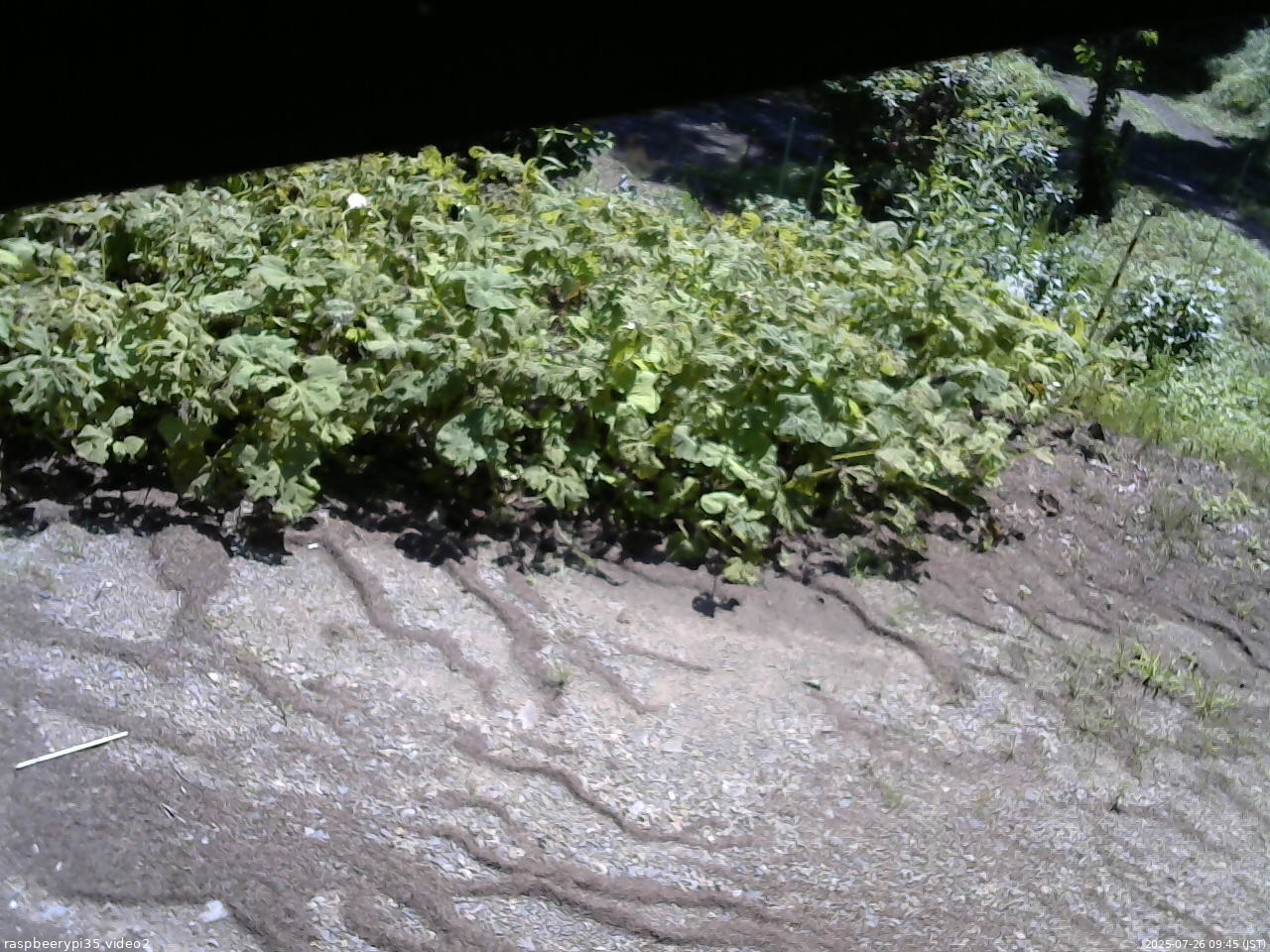 長野県菅平高原 ゆたか山荘 駐車場 2025/07/26 09:45