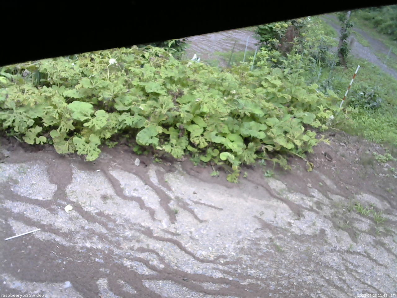 長野県菅平高原 ゆたか山荘 駐車場 2025/07/26 11:45