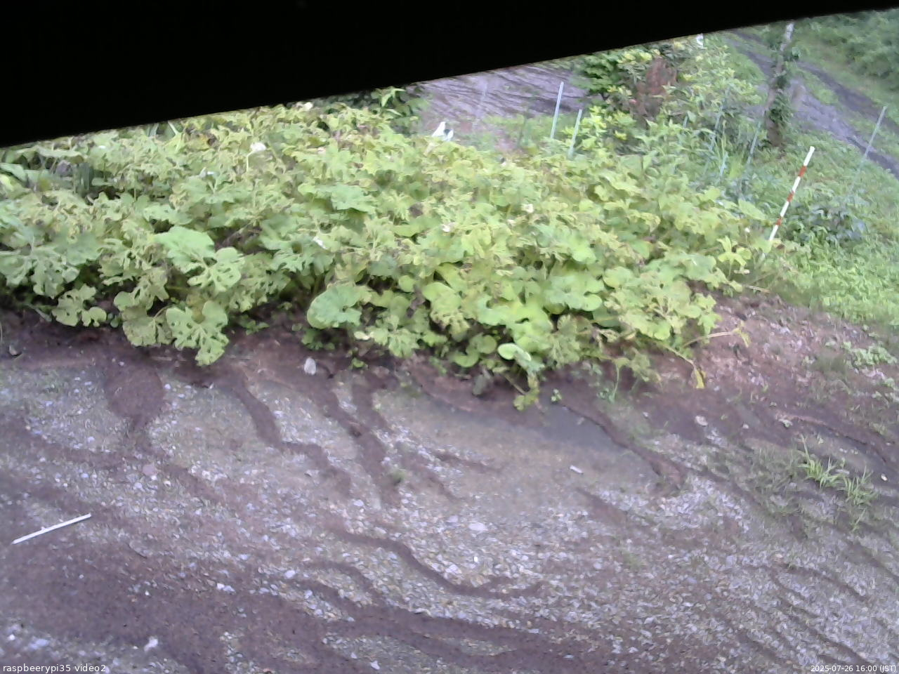 長野県菅平高原 ゆたか山荘 駐車場 2025/07/26 16:00