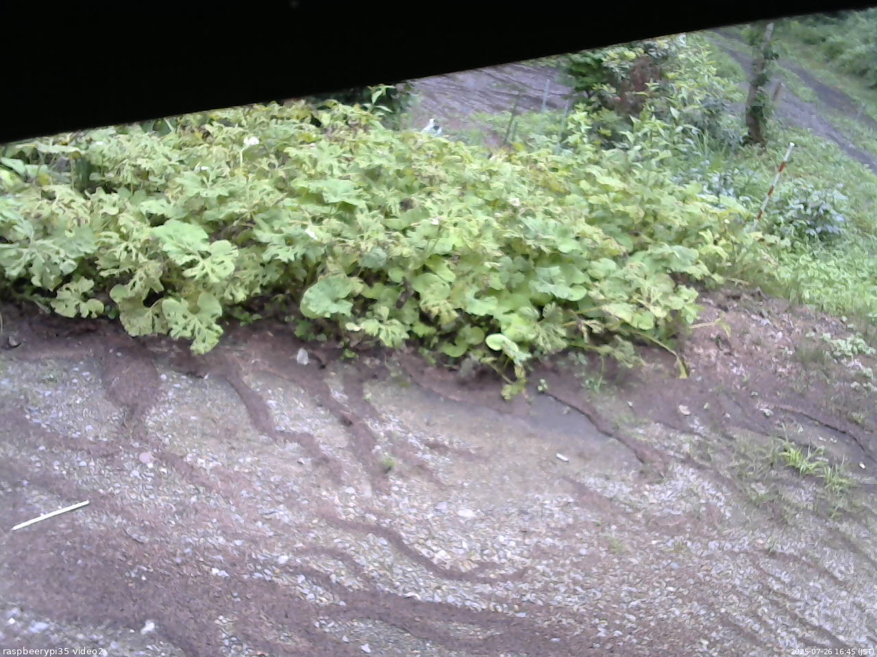 長野県菅平高原 ゆたか山荘 駐車場 2025/07/26 16:45