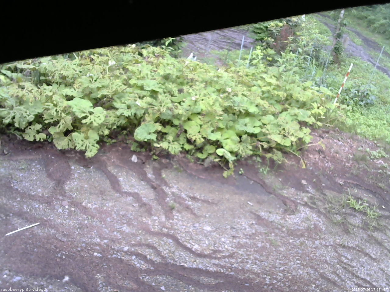 長野県菅平高原 ゆたか山荘 駐車場 2025/07/26 17:45