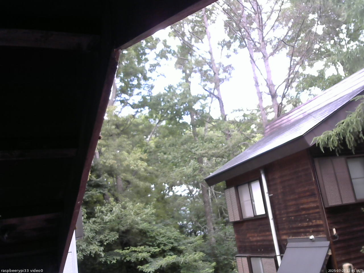 長野県菅平高原 ゆたか山荘 北側 2025/07/27 12:45