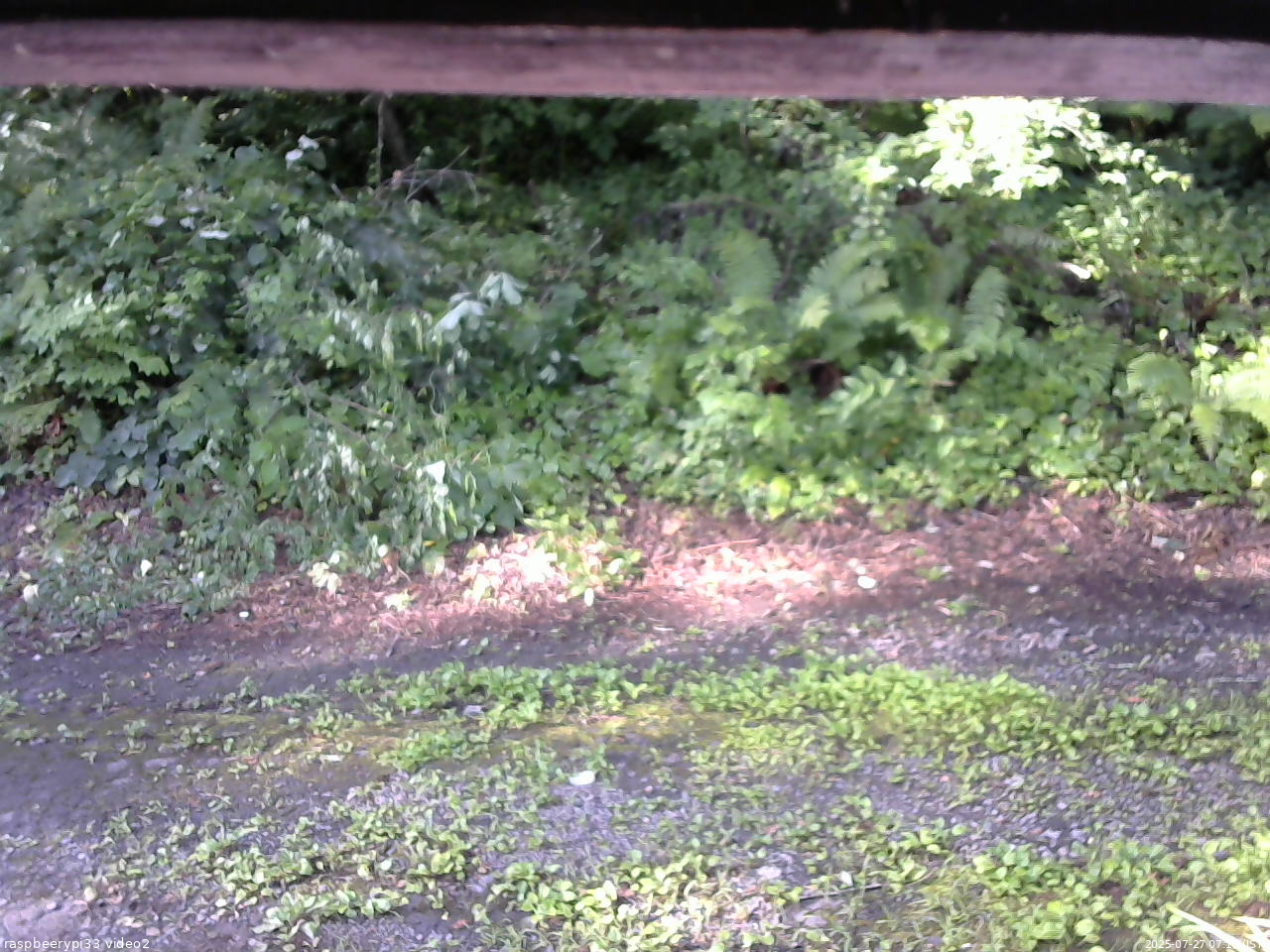 長野県菅平高原 ゆたか山荘 南側 2025/07/27 07:15