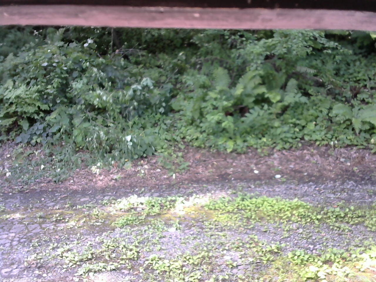 長野県菅平高原 ゆたか山荘 南側 2025/07/27 09:30