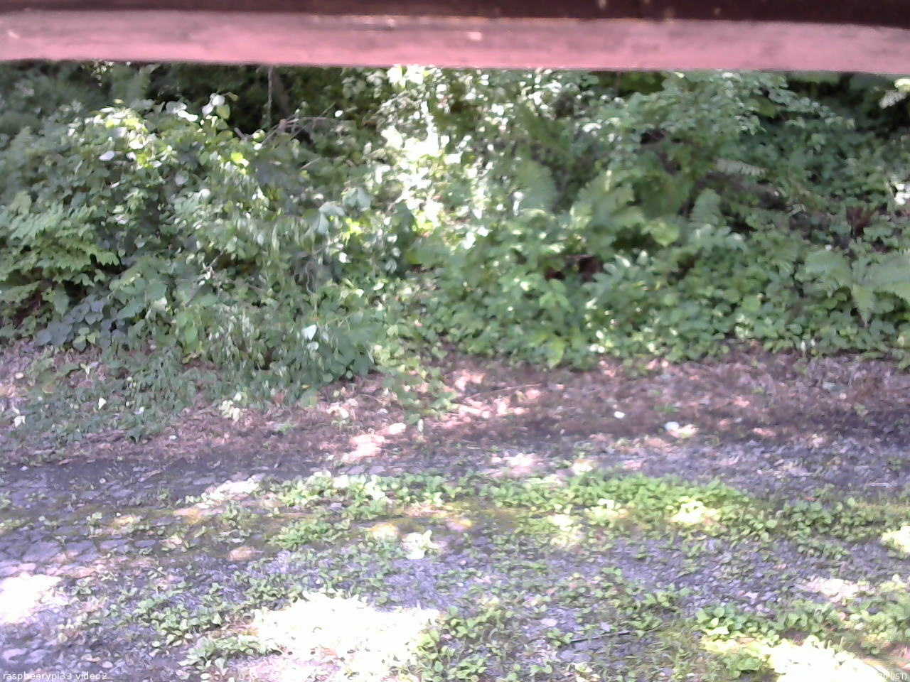 長野県菅平高原 ゆたか山荘 南側 2025/07/27 10:30