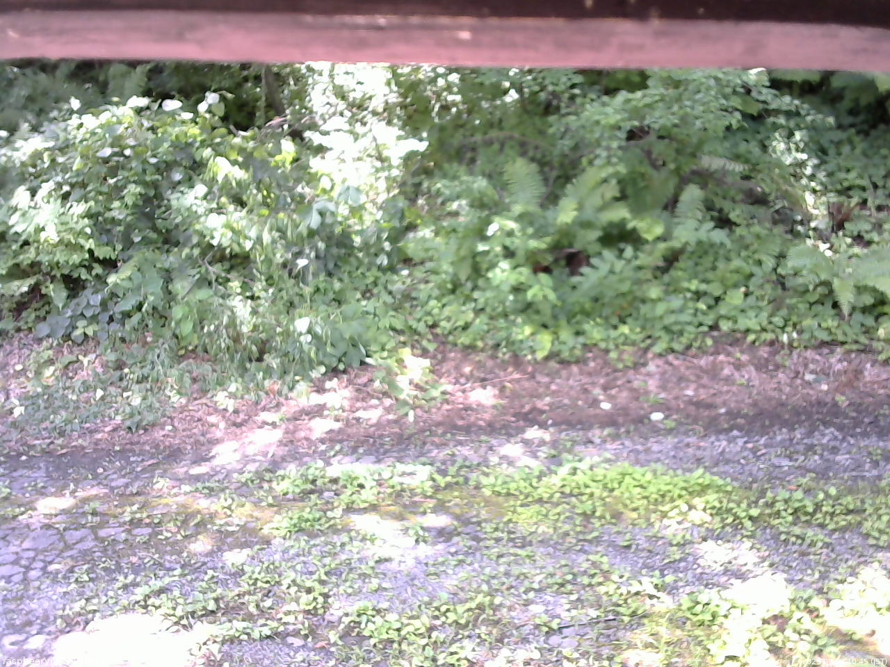 長野県菅平高原 ゆたか山荘 南側 2025/07/27 10:45