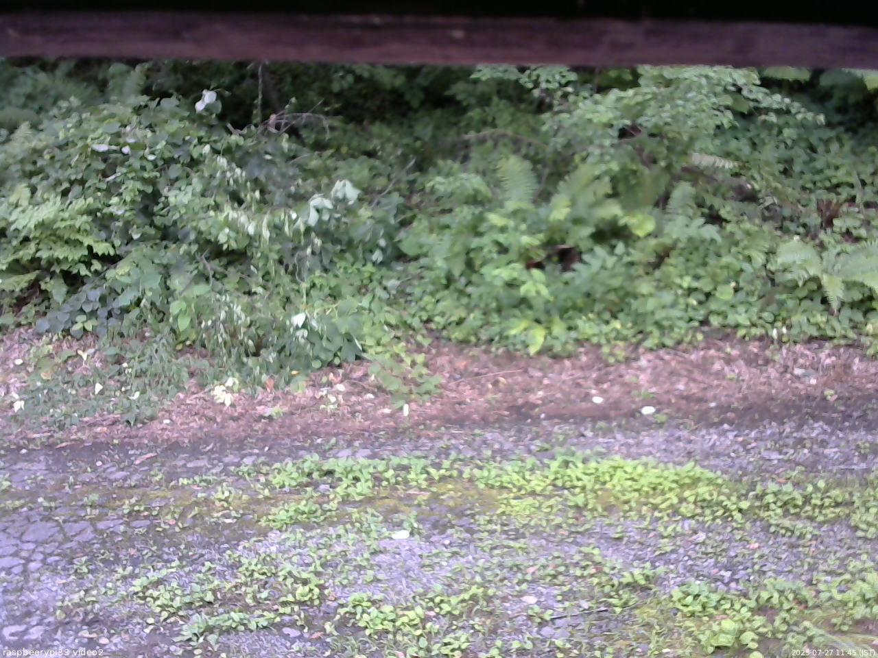 長野県菅平高原 ゆたか山荘 南側 2025/07/27 11:45